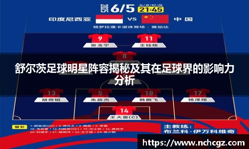 舒尔茨足球明星阵容揭秘及其在足球界的影响力分析